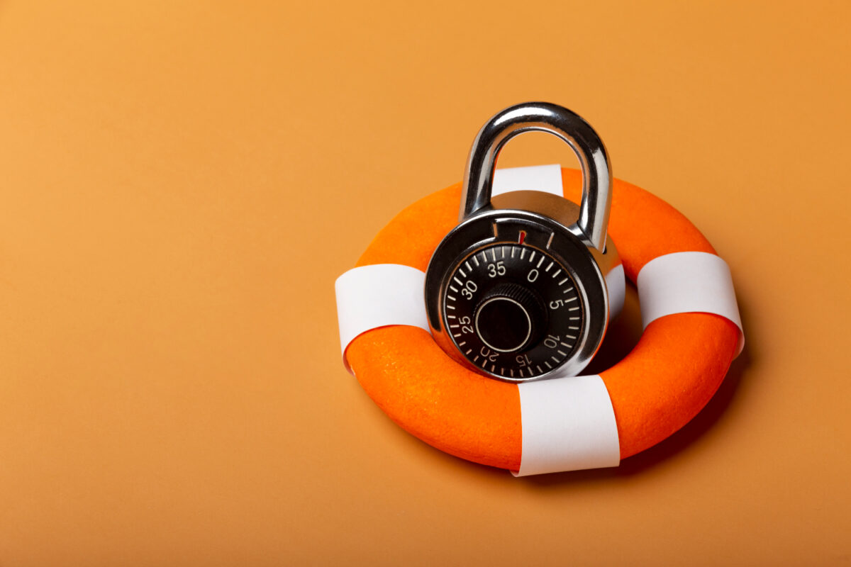Articulo Seguridad